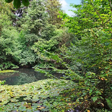 Ruebezahl דירה *