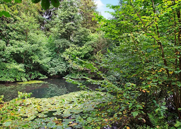 Ruebezahl Appartement *